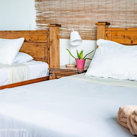 Lost In San Jose Hotel & Hostel ภายนอก รูปภาพ