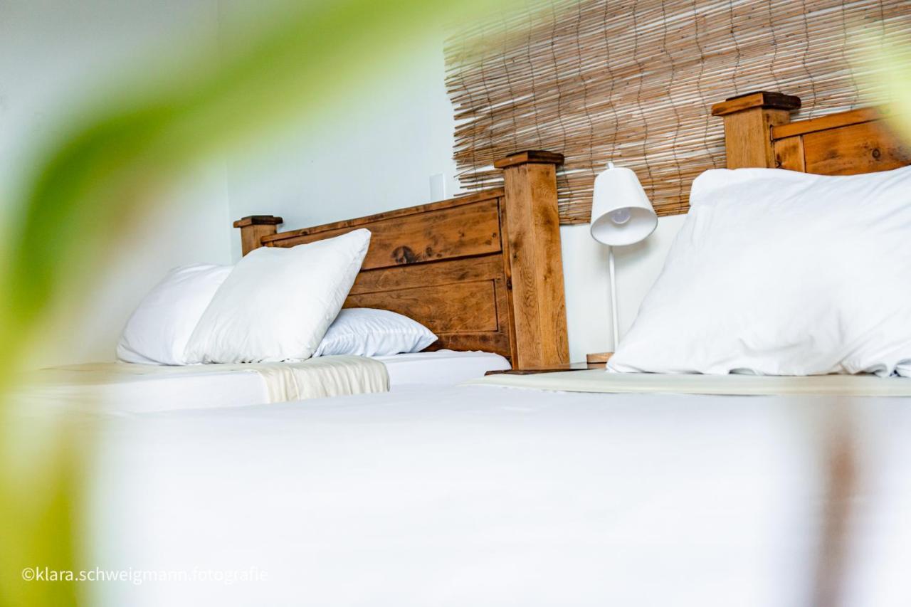 Lost In San Jose Hotel & Hostel ภายนอก รูปภาพ