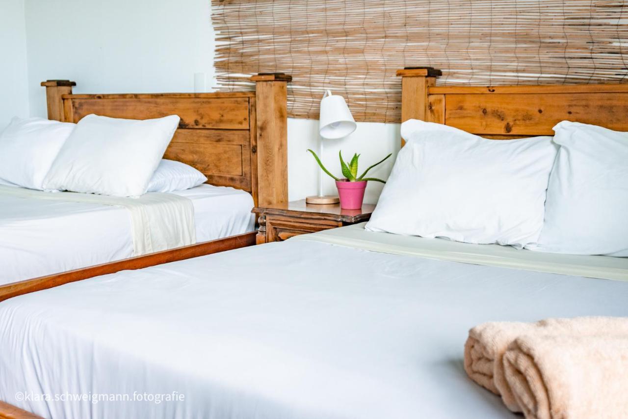 Lost In San Jose Hotel & Hostel ภายนอก รูปภาพ