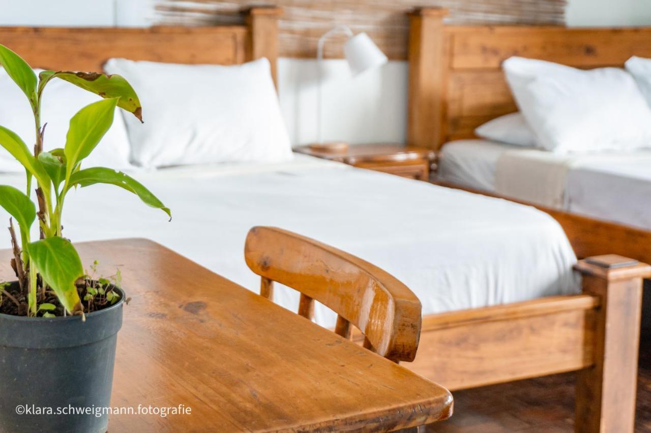 Lost In San Jose Hotel & Hostel ภายนอก รูปภาพ