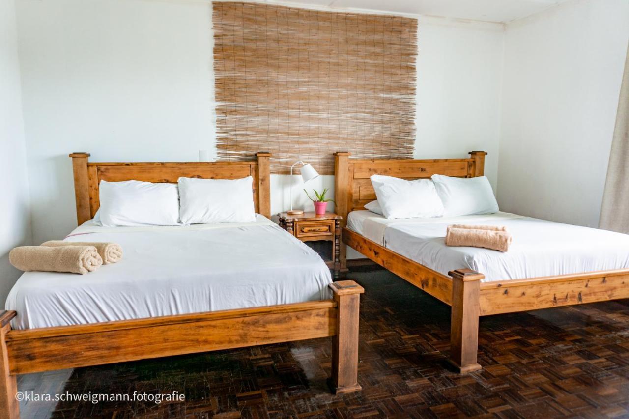 Lost In San Jose Hotel & Hostel ภายนอก รูปภาพ