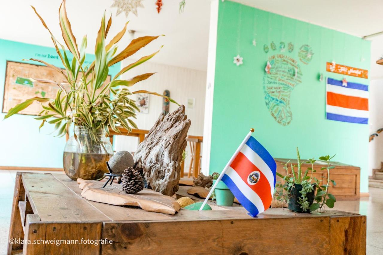 Lost In San Jose Hotel & Hostel ภายนอก รูปภาพ