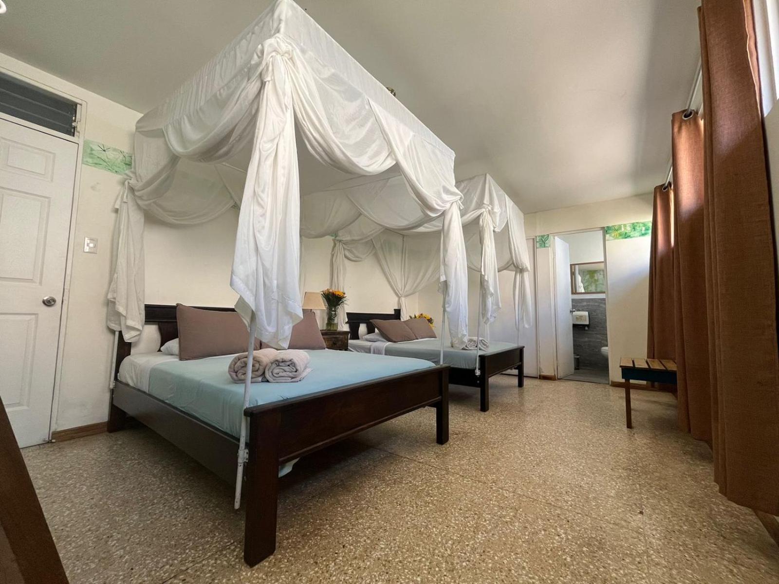 Lost In San Jose Hotel & Hostel ภายนอก รูปภาพ