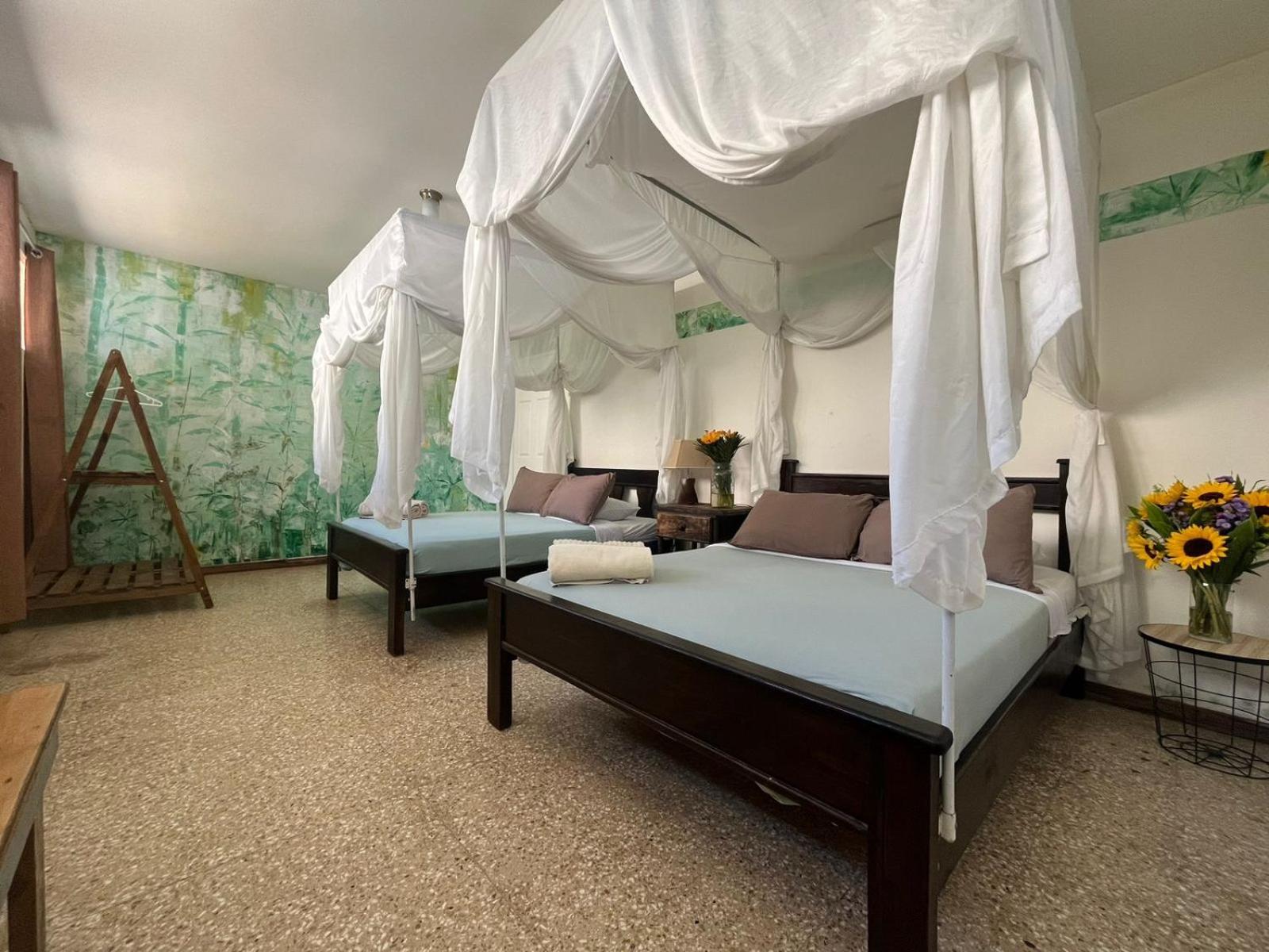 Lost In San Jose Hotel & Hostel ภายนอก รูปภาพ