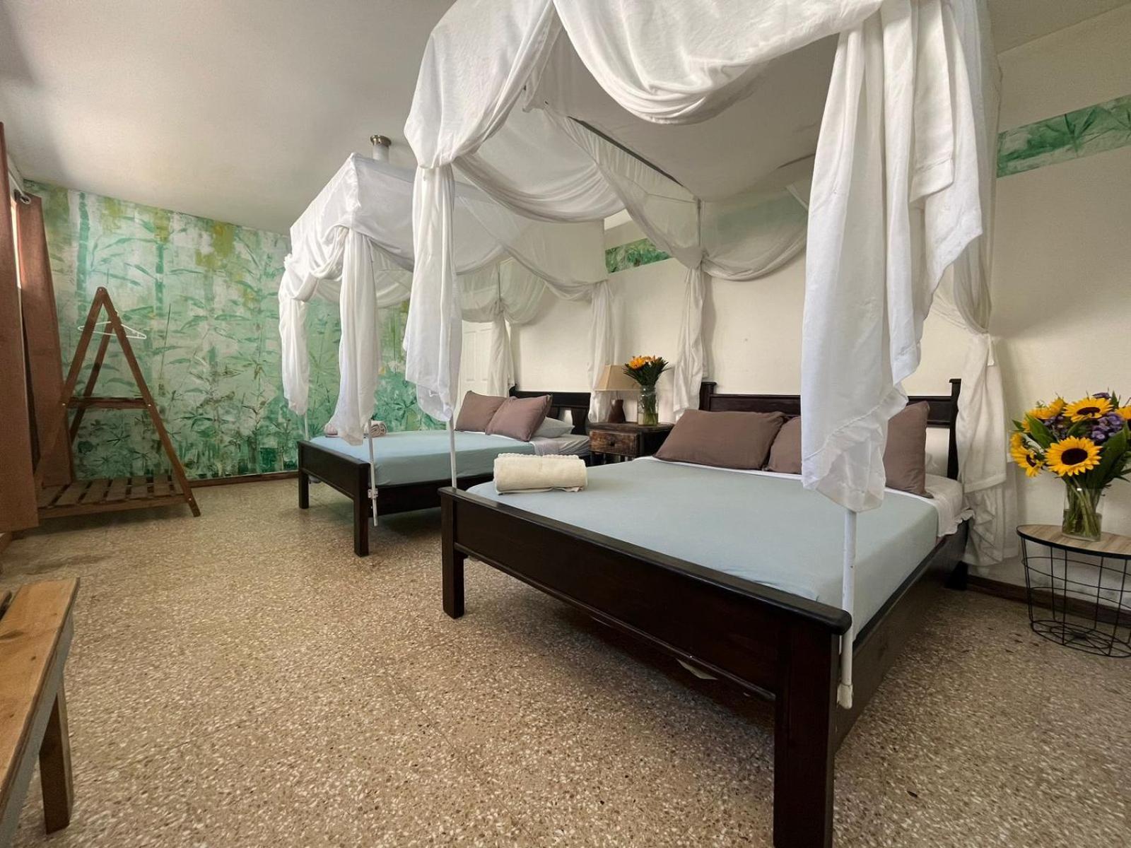 Lost In San Jose Hotel & Hostel ภายนอก รูปภาพ