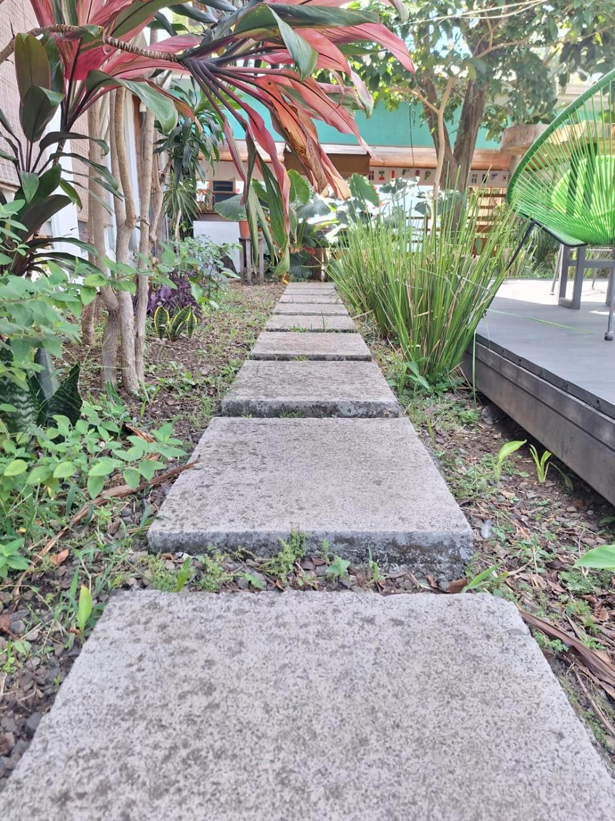 Lost In San Jose Hotel & Hostel ภายนอก รูปภาพ